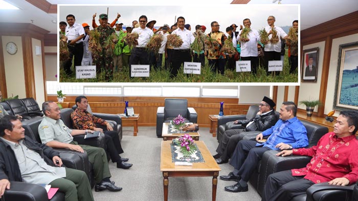 Bawang Merah Solok Rp11.000 per Kg, Petani dan Senator Protes Bulog